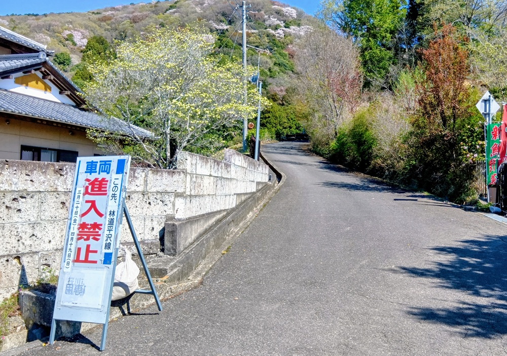 平沢林道入口　ここから先は車両進入禁止です（4月８日撮影）