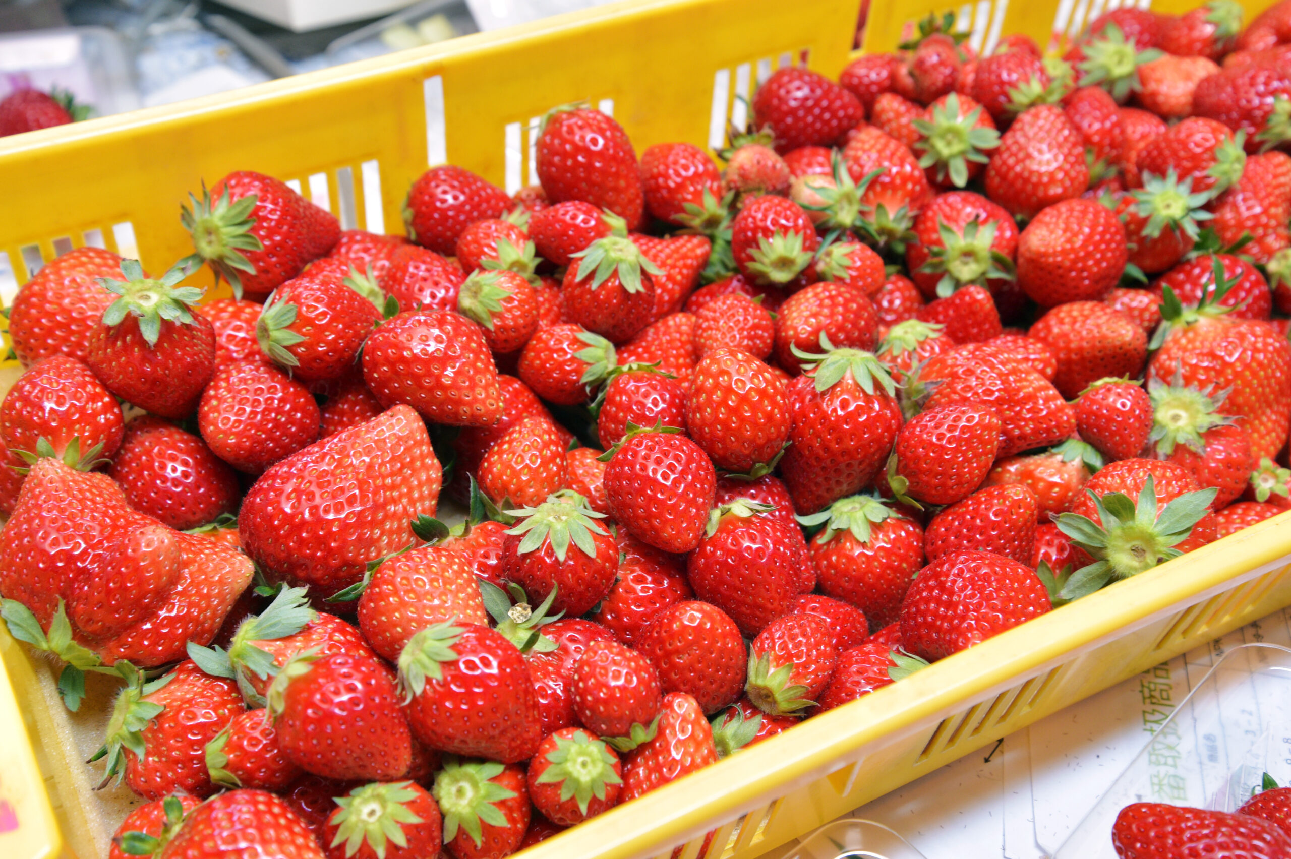 おいしいイチゴはいかが（イメージ写真）