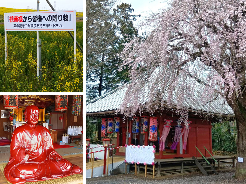 14番・宝性院の観音堂（右）と、番外・地蔵同そばの菜の花畑（左上）、第10番・金乗院のびんずる様（左下）
