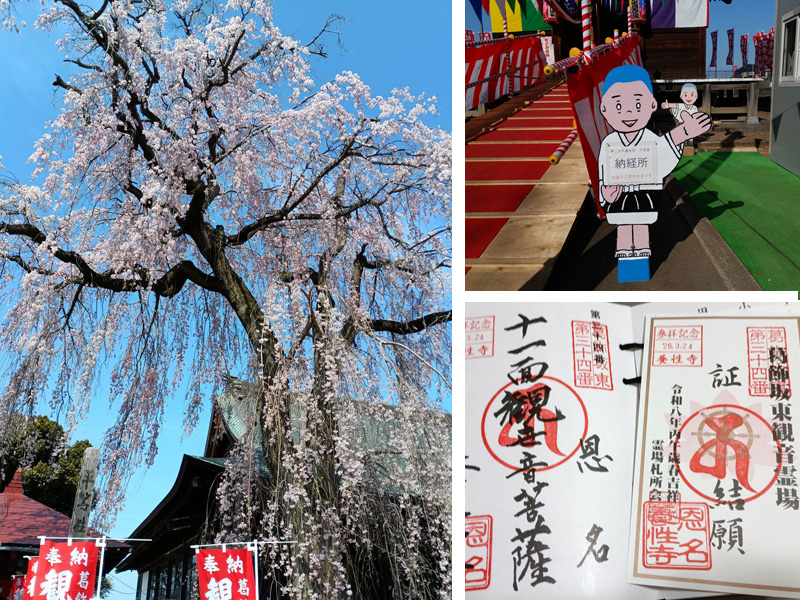 第18番札所・久昌寺のシダレザクラ（左）、第29番札所・千手堂の置き物（右上）、第34番札所・養性寺の朱印と結願証（右下）
