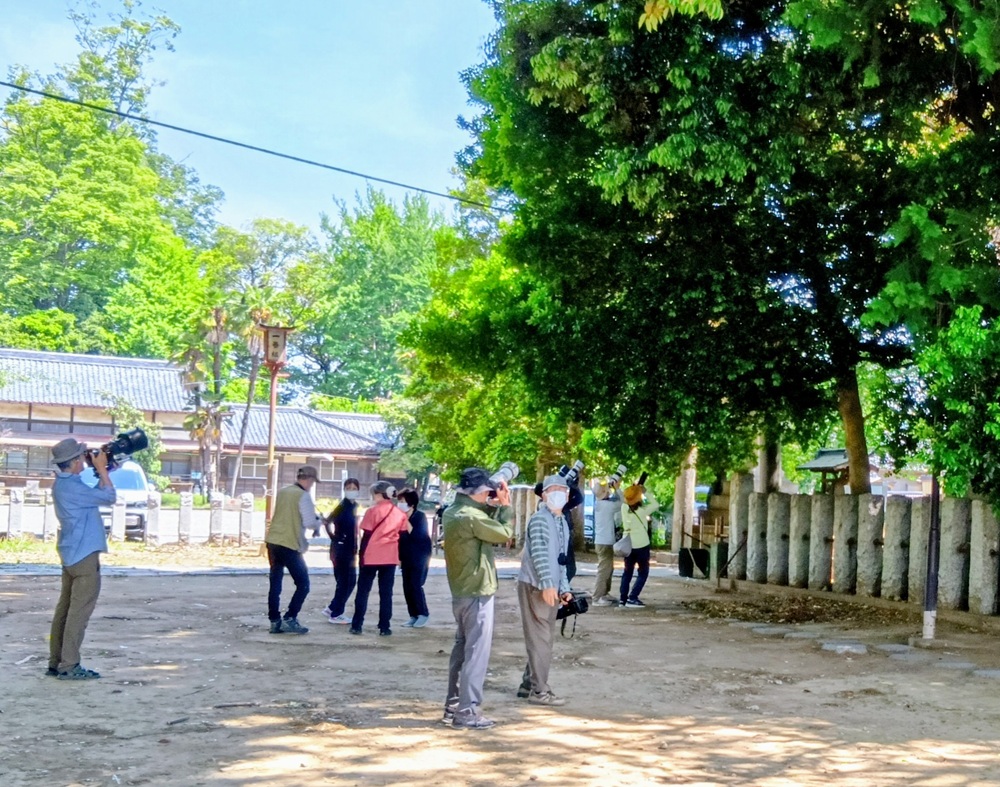 雀神社境内=古河市宮前町