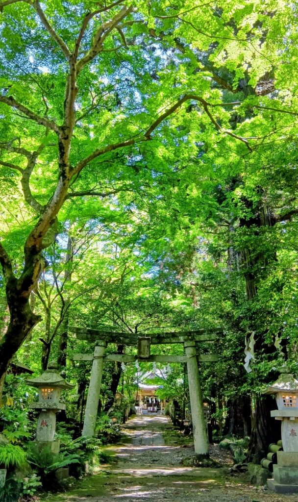 五所駒瀧神社参道=桜川市真壁町山尾