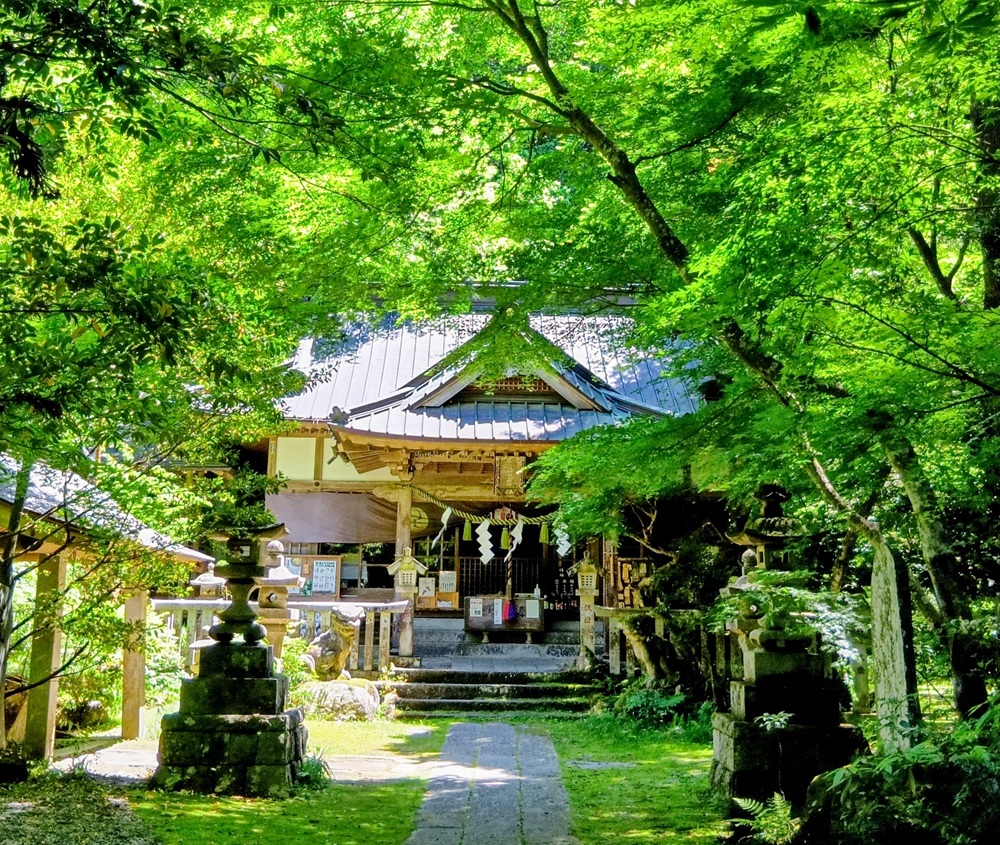 五所駒瀧神社拝殿