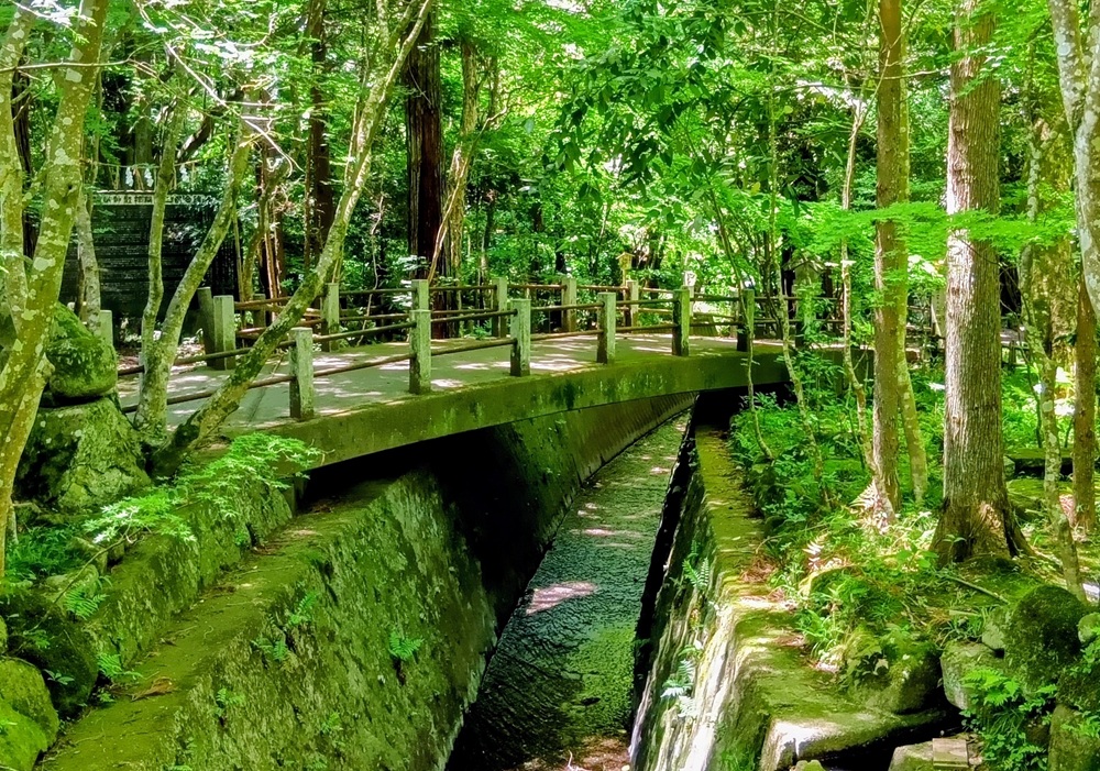 拝殿の前に架かる橋