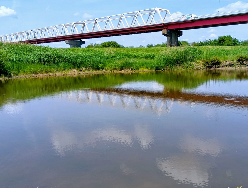 渡良瀬川の遊水池