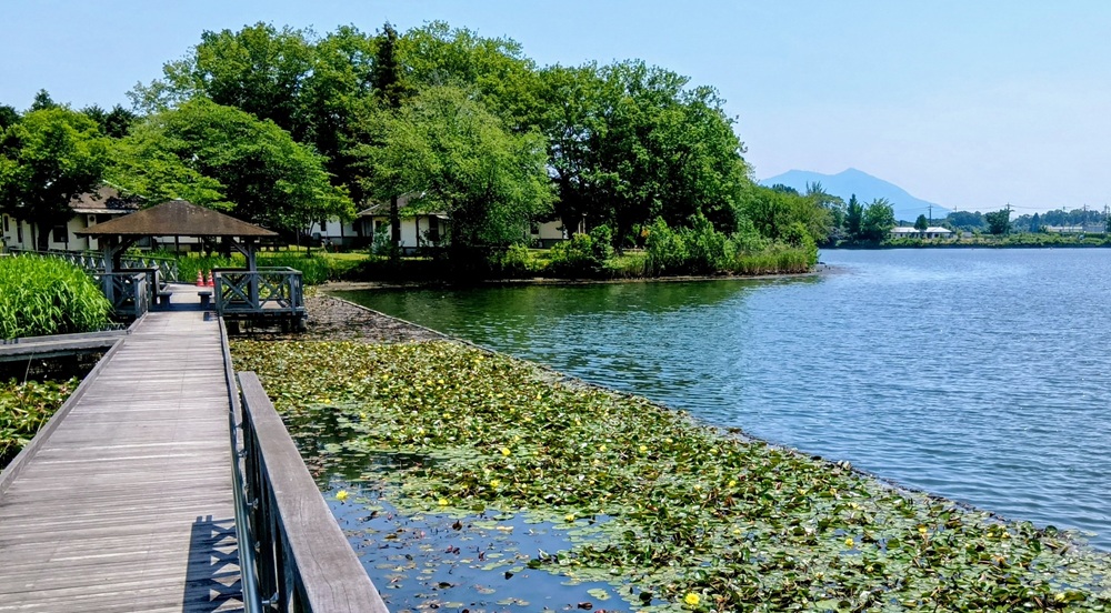 上野沼=桜川市上野原地新田
