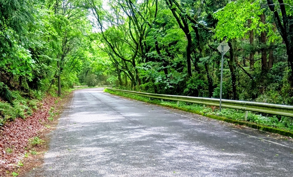 登山道から車道に出ました