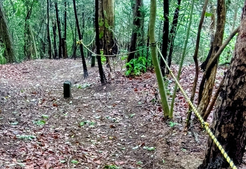 急な登りが続きます