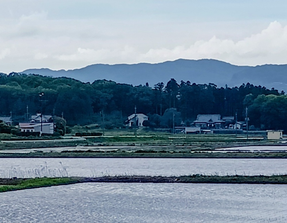 桜川市から見る大政山（5月4日撮影）