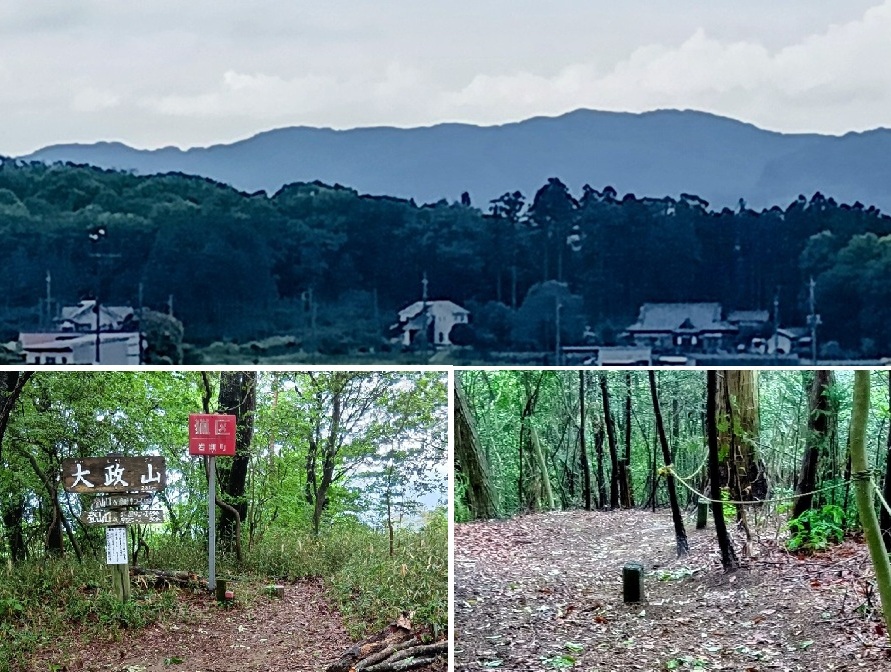5月4日に大政山を登山しました。