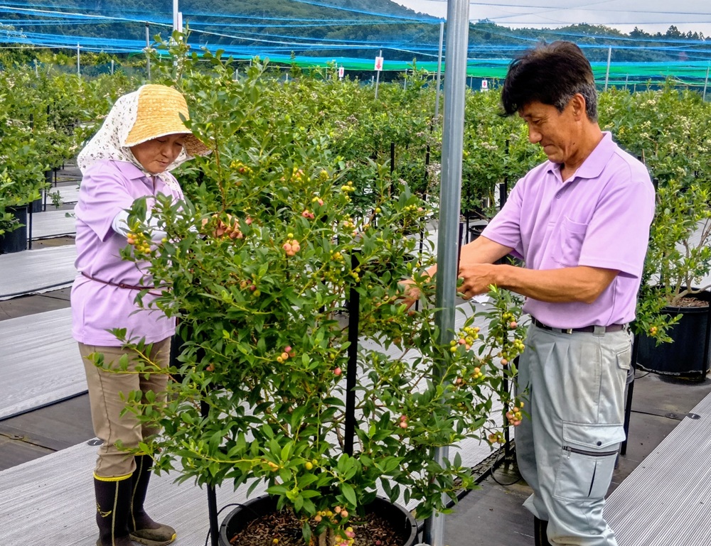 農園主の松岡征道さん(右)と奥さんの加代子さん