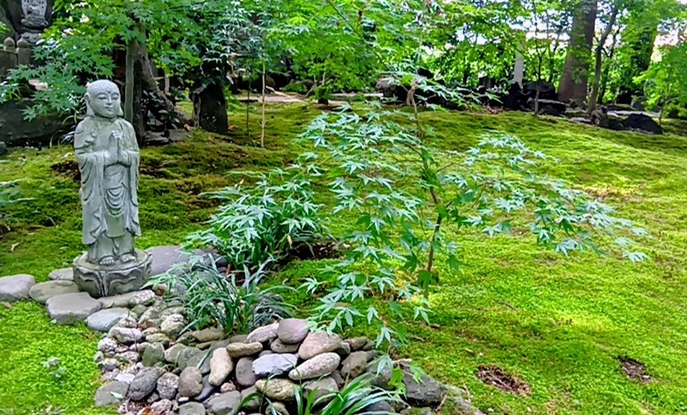 修行の庭(6月15日撮影)