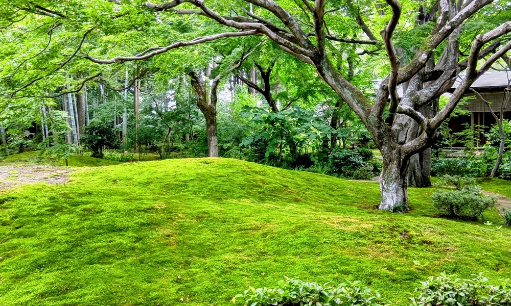茨城県筑西市下平塚57