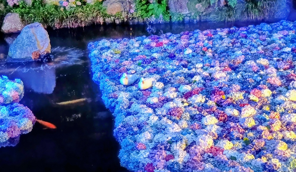 ライトアップされた水中華(6月22日撮影)