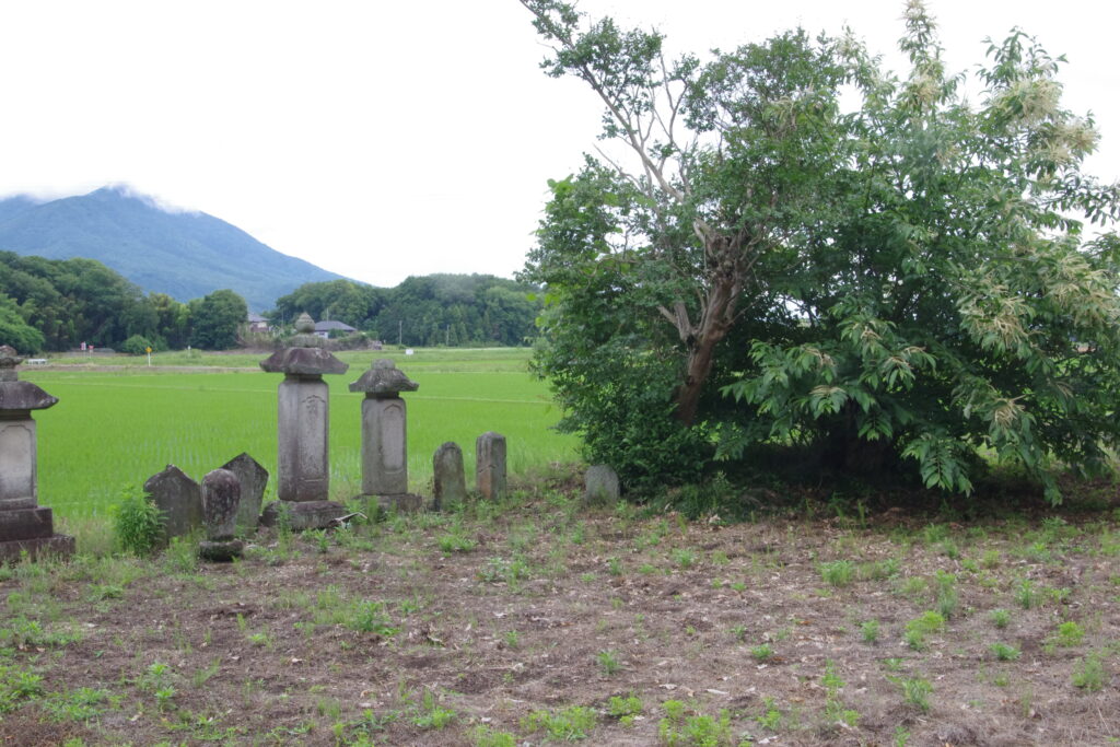 晴明塚から筑波山方面を望む(筑西市猫島)