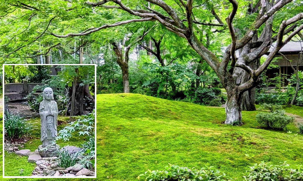 コケに覆われた最勝寺（2026年6月15日撮影）