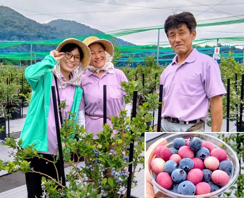 ブルーベリーを育てる松岡征道さん（右）加代子さん（中）慶華さん（左）