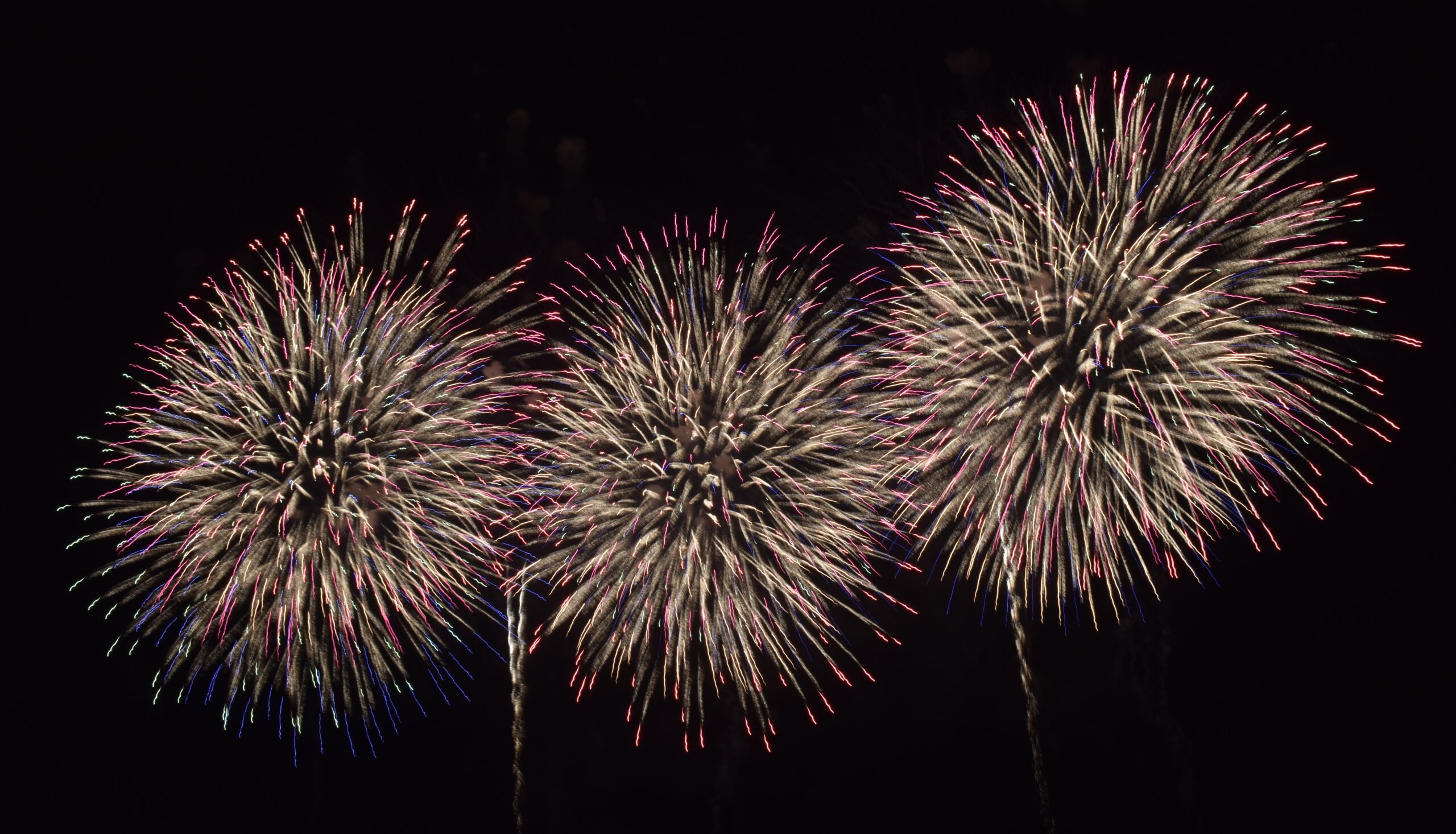 夏の夜空を彩る花火（昨年の大会）＝古河ゴルフリンクス前の渡良瀬河川敷