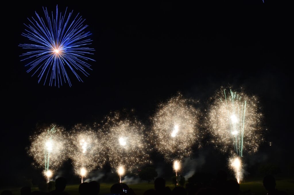 夏の夜空を彩る花火（昨年の大会）＝古河ゴルフリンクス前の渡良瀬河川敷