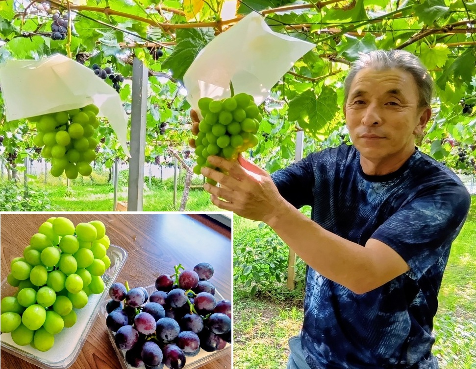 園主の中山隆詞さん