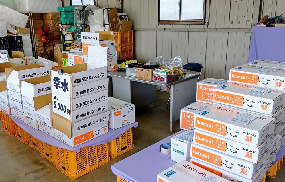 梨の直売所=筑西市上野