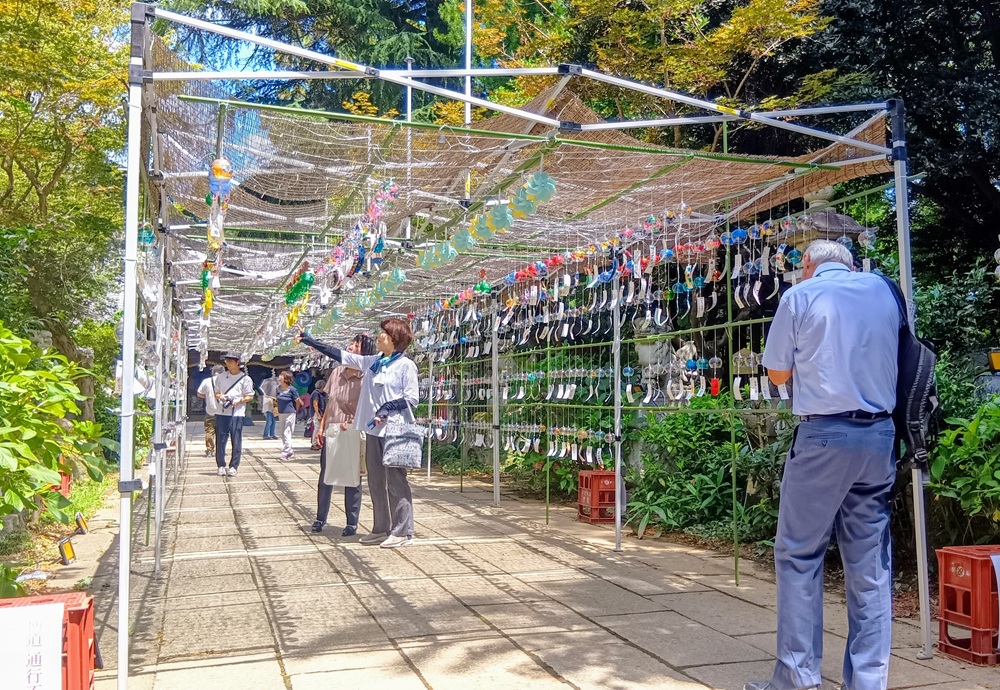 参道に飾られた風鈴