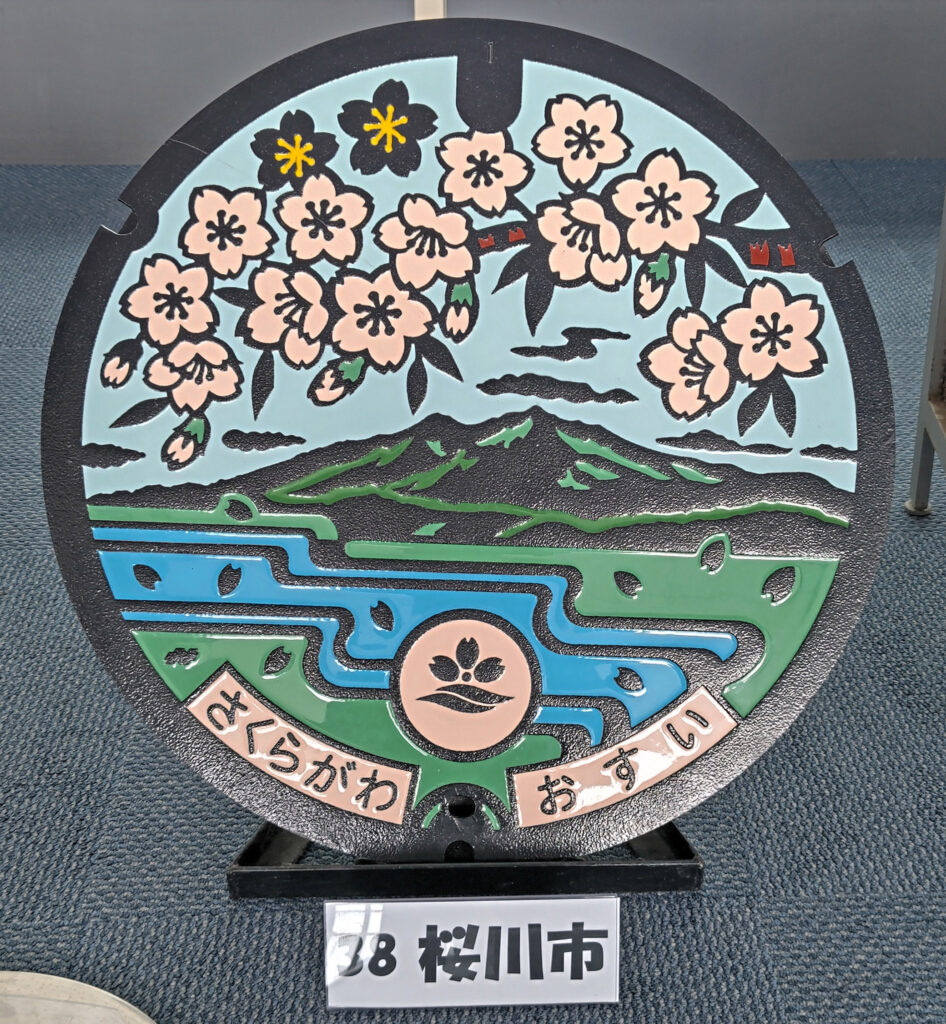 美しく咲く桜をあしらった桜川市のマンホール=水戸市笠原町