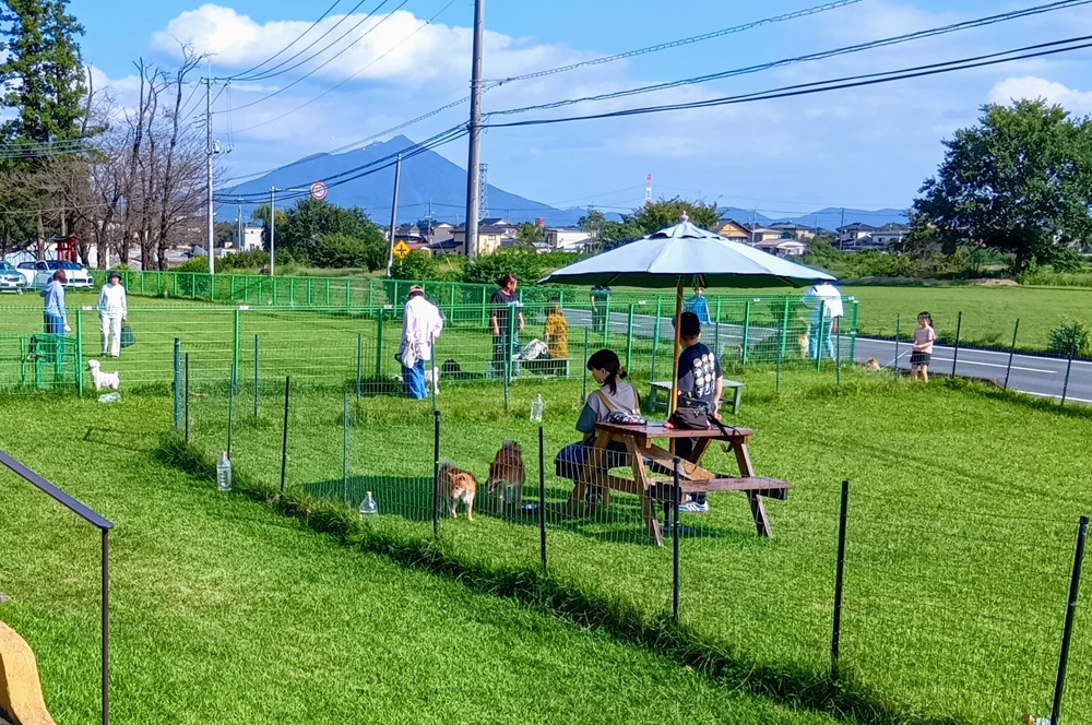 カフェ「SORA」のドッグラン=筑西市井上