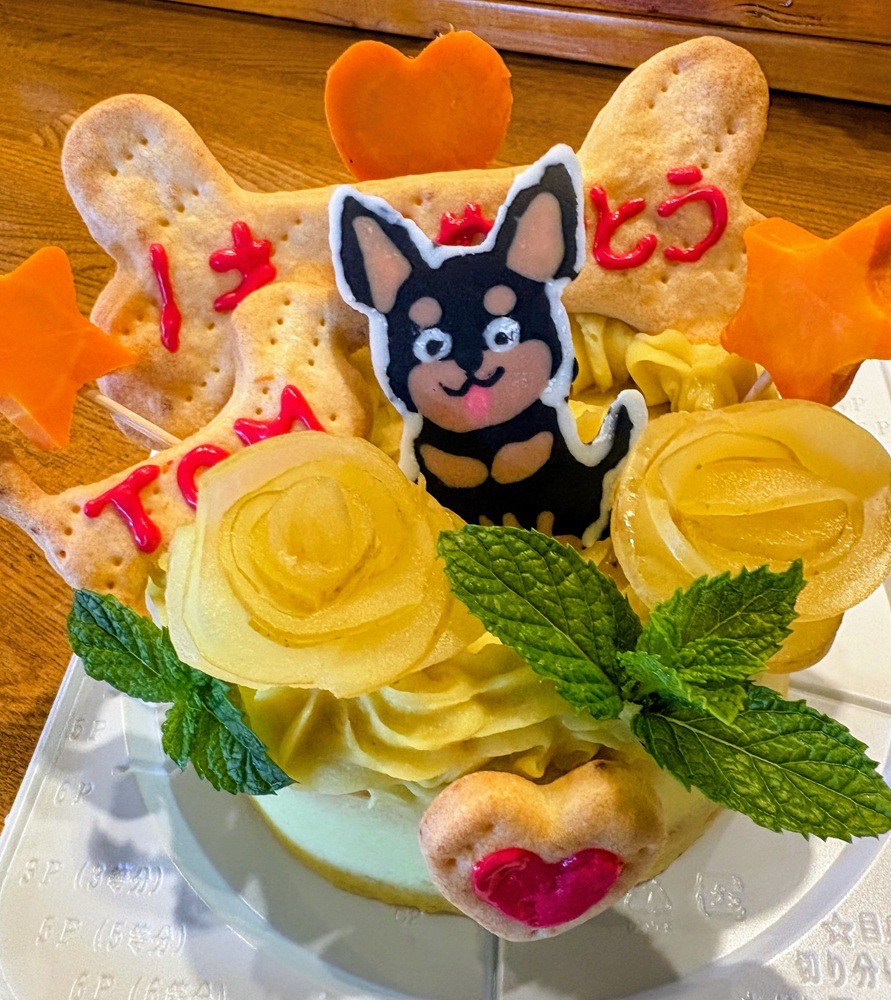 ワンちゃんの誕生日ケーキ(カフェ「SORA」提供)
